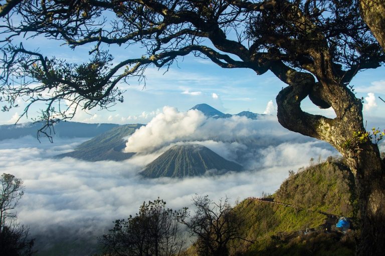 2022-02-14-Indonesia_Indah